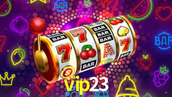vip23.com